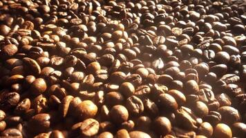 Cerca de semillas de café video