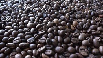 Close up of seeds of coffee video