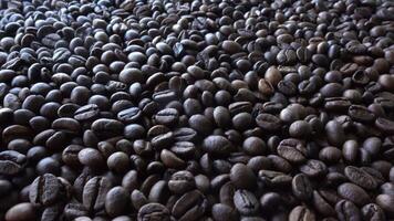 primo piano di semi di caffè video