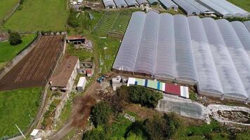 serres dans le campagne. rural paysage video