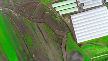 Aerial View of the Floods in Village video