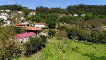 village serres et cultivé terre dans printemps video