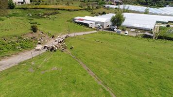 Dorf Gewächshäuser und kultiviert Land im Frühling video