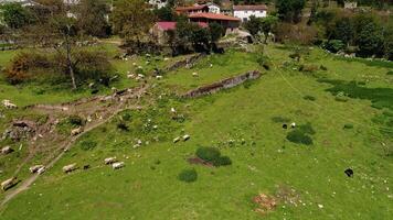 Village Greenhouses and Cultivated Land in Spring video