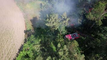 Fire in the Forest Aerial View video