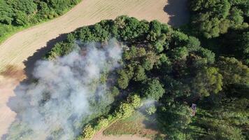 forêt Feu aérien vue video