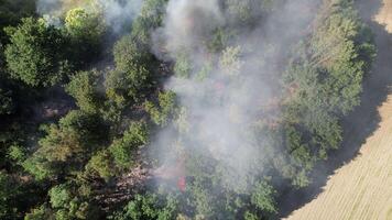 brand i de skog antenn se video