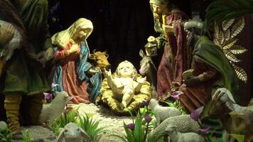 Weihnachten Krippe Geburt Szene video
