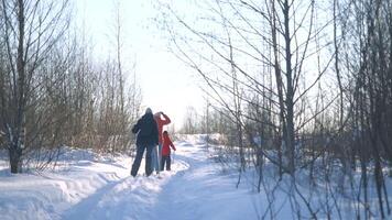 vinter- gående med pinnar i skog. kreativ. familj vandra i vinter- skog på solig dag. gående med pinnar i vinter- video