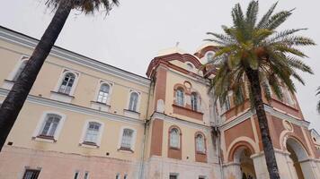 Bottom view of a beautiful facade of a historical building with growing palm trees. Action. Old house or church building. video