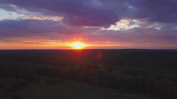 espectacular cielo desde un zumbido. acortar. un hermosa brillante puesta de sol con púrpura y naranja sombras, dónde el Dom lata ser visto terminado el bosque video