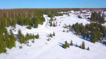 Haut vue de magnifique hiver paysages avec forêt. agrafe. magnifique vert forêt avec neigeux routes et congelé rivières. hiver forêt dans ensoleillé temps video