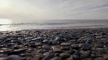 Kieselstein Strand mit klein Kieselsteine und Meer Wellen. Aktion. Meer Oberfläche auf das wild Kieselstein Strand, Leise Abend auf das adriatic Küste. video