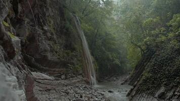 magnifique cascade sur Roche dans jungle. créatif. haute étroit cascade chutes de falaise dans jungle. Naturel cascades dans vert jungle video