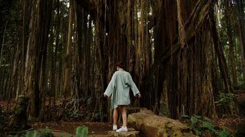 Girl standing with her back in a cape against the background of a perennial tree video