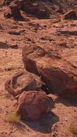 un' grande roccia nel il mezzo di un' deserto video