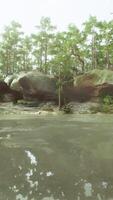 un' corpo di acqua circondato di alberi e rocce video