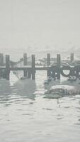 Misty Morning at an Old Wooden Pier in Norway video