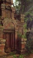 Sunlight Filters Through Dense Forest, Highlighting Ancient Temple Ruins. video