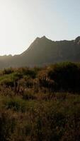 de zon is schijnend over- een berg reeks video