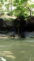 un cuerpo de agua rodeado por arboles y rocas video