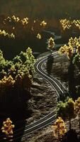 An aerial view of a winding road surrounded by trees video