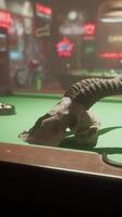 A fake animal skull on a pool table video