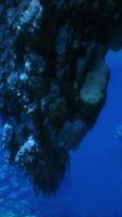 An underwater view of a rock formation in the ocean video