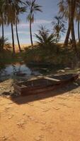 uma barco sentado em topo do uma arenoso de praia video