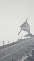 A large white dolphin is flying over a bridge video