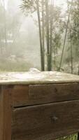 A solitary wooden table nestled in the heart of a serene forest video