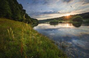 Ospreys searching for fish over the River photo