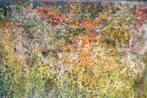Texture background of algae and fungi behind a glass loaded with condensation photo