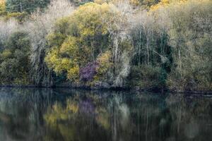 Colorful autumn riverside forest reflected in the calm waters photo