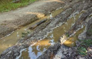 Muddy tracks with puddles on wet muddy surface in forest path photo