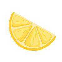 Lemon Slice Icon for Squash and Mojito Summer Drink Ingredients Element Illustration vector