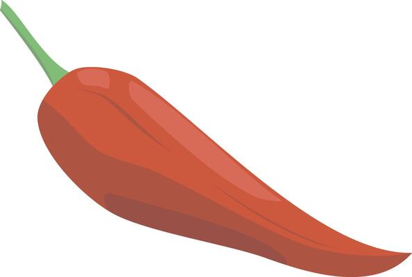 paprika illustration isolated in cartoon style. Herbs and Species Series
