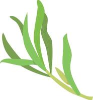 tarragon illustration isolated in cartoon style. Herbs and Species Series vector