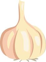 garlic illustration isolated in cartoon style. Herbs and Species Series vector