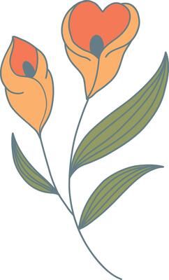 Hand Drawn Floral Botanical Branch. Isolated on White Background. Isolated Element