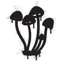 Spray Painted Graffiti Mushroom icon Sprayed isolated with a white background. vector