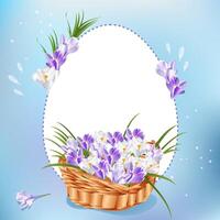 Easter template with basket of snowdrops vector