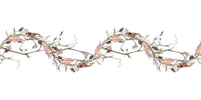 Hand drawn watercolor illustration shabby boho botanical flowers berries leaves tendrils vine rose hip branches twigs. Seamless banner isolated on white background. Design wedding, floral shop, gifts vector