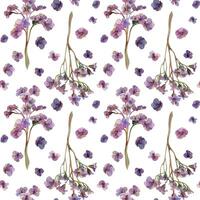 mano dibujado acuarela ilustración boho botánico flores hojas. bergenia pulmonaria angelonia bacopa heliotropo, mar lavanda. sin costura modelo aislado en blanco antecedentes. diseño boda, amor tarjetas vector