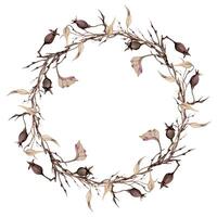 Hand drawn watercolor illustration shabby boho botanical flowers autumn leaves tendrils vine rose hip branches twigs. Wreath frame isolated on white background. Design wedding, floral shop, gift cards vector