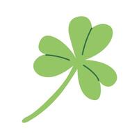 clover. St. Patrick's Day. Shamrock three-leaf clover. White isolated background. vector