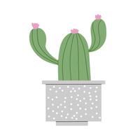 Cactus. Flowering cactus in a cute pot. illustration with white isolated background. vector