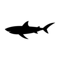 Shark silhouette flat illustration on isolated background vector