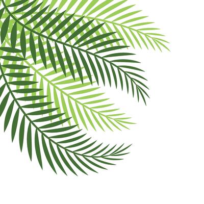 Palm Leaf Corner