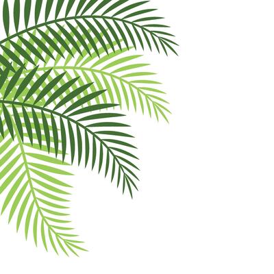Palm Leaf Corner